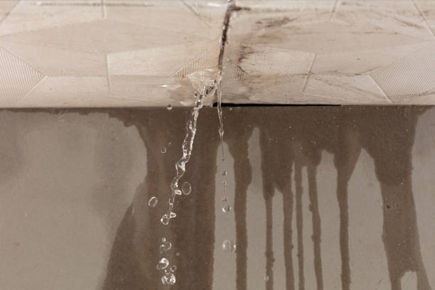 Professional Sewage Cleanup technician working in Port Clyde, ME